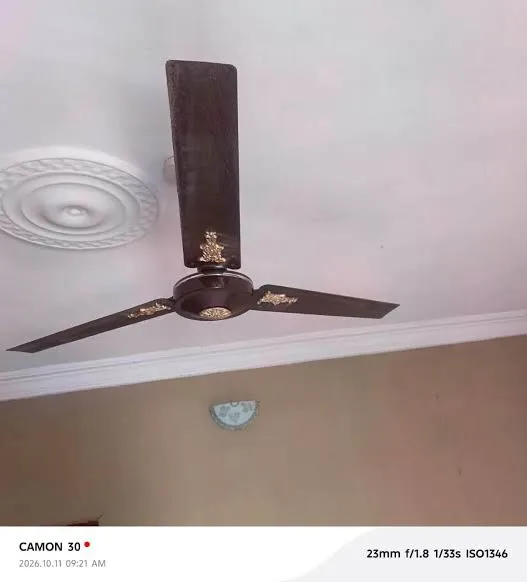 Qasa and ORL gaint ceiling fan — photo 1 of 4