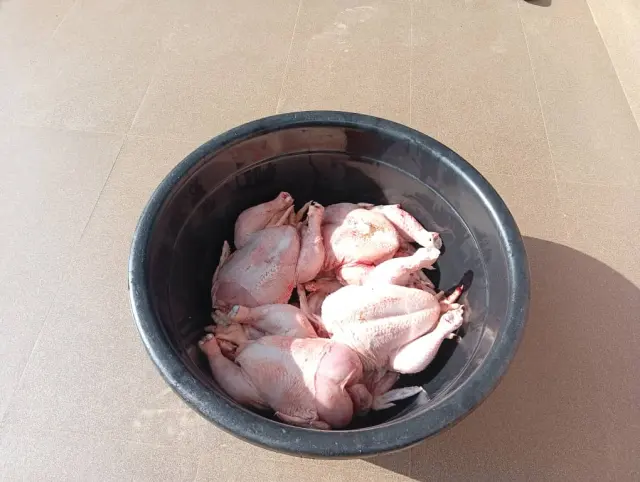 Chicken