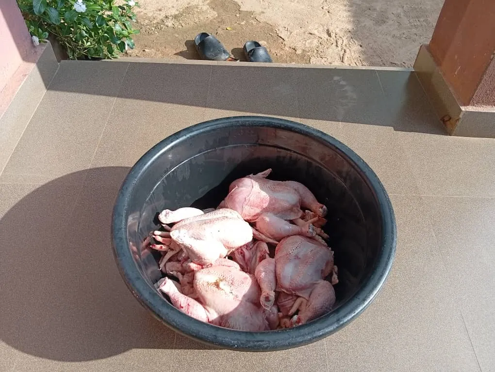 Chicken — photo 2 of 6