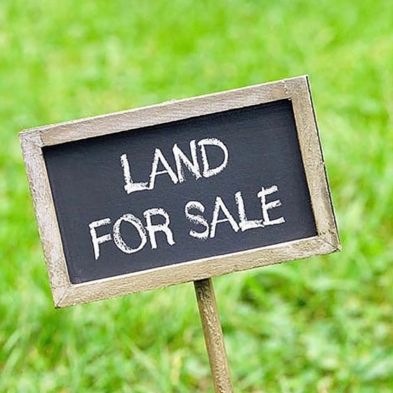 LAND FOR SALE❗️